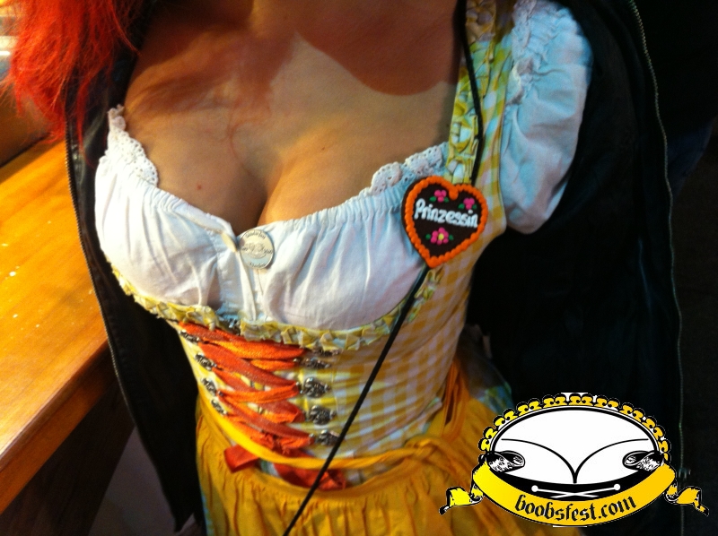 slim girl with huge breasts in traditional dirndl